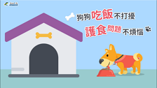 [微課程]狗狗吃飯不打擾，護食問題不煩惱