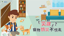 [微課程]「災謀」？寵物防災不慌亂